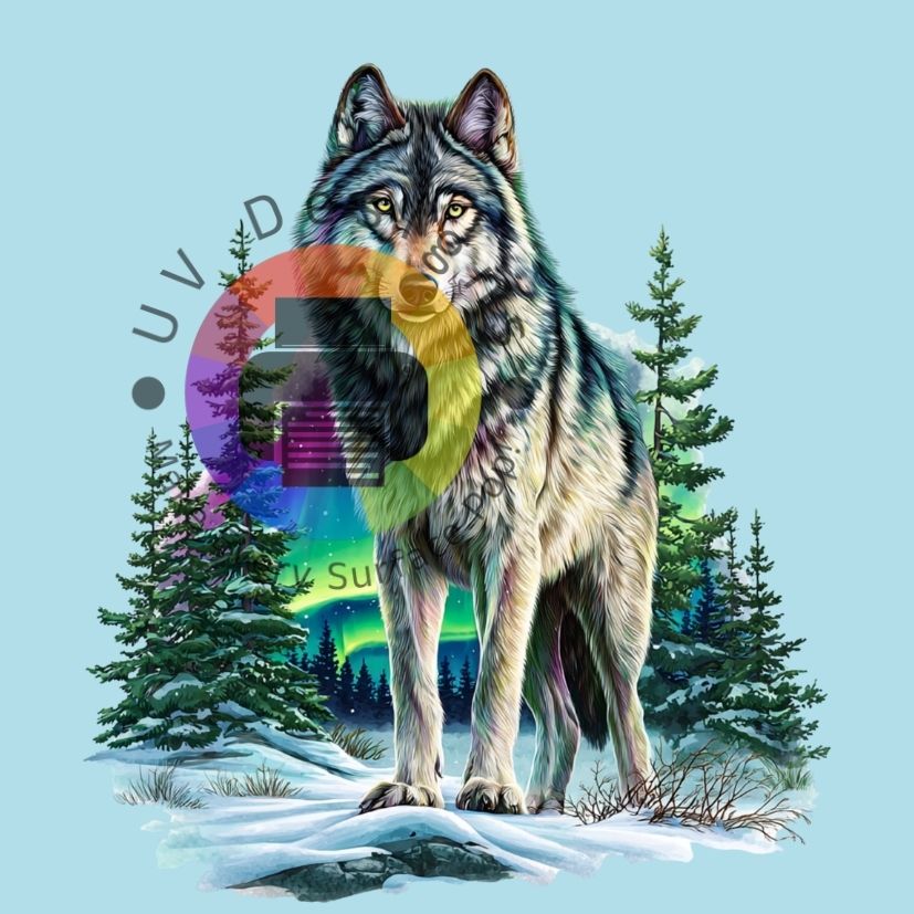 Aurora wolf nr 6