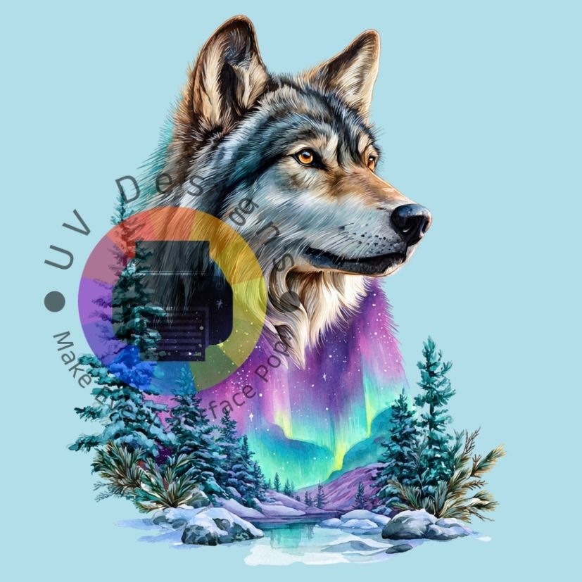 Aurora wolf no. 7